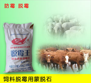 內(nèi)蒙古寧城天宇膨潤土科技有限公司