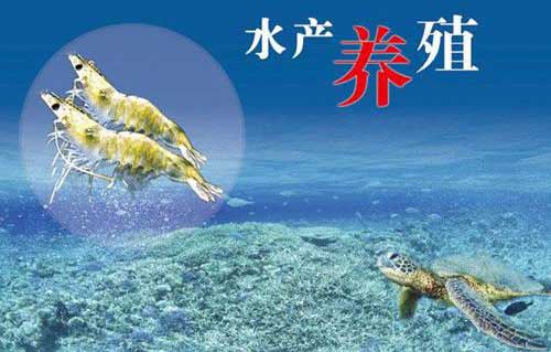 水產(chǎn)蒙脫石