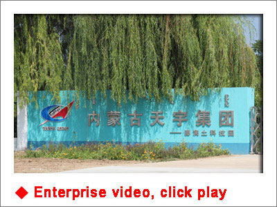 Company video