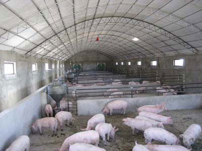 Feed montmorillonite