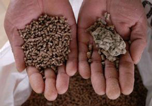 Feed mold