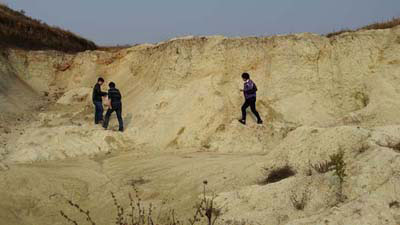 Bentonite ore