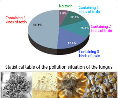 Statistics table of mould pollution