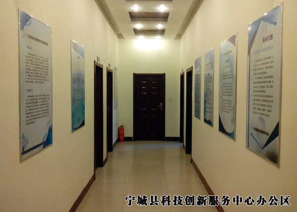 Science and technology innovation service
