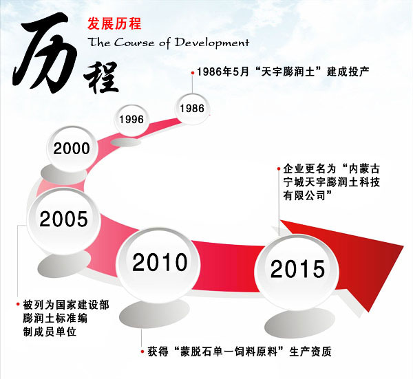 Company development process